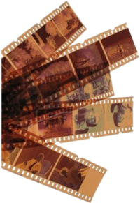 Negatieven filmrolletjes