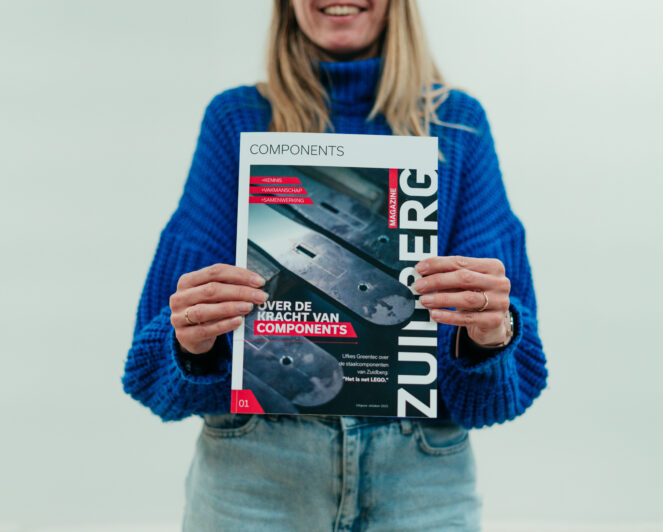 DEPO Intern ZUI Dcase11